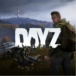 DayZ | Steam-PC