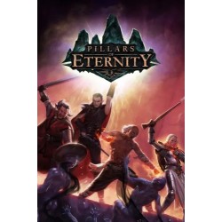 Pillars of Eternity | Steam-PC