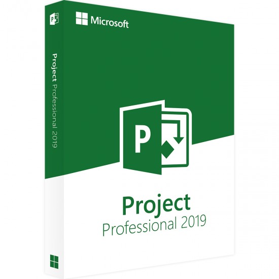 Microsoft Project Professional 2019 - Jogo Digital